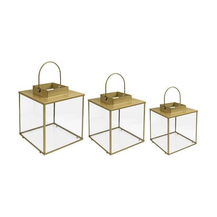 SET 3 TERRARIUM VETRO 300x300x330mm